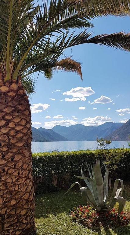 Maniva Apartman Kotor